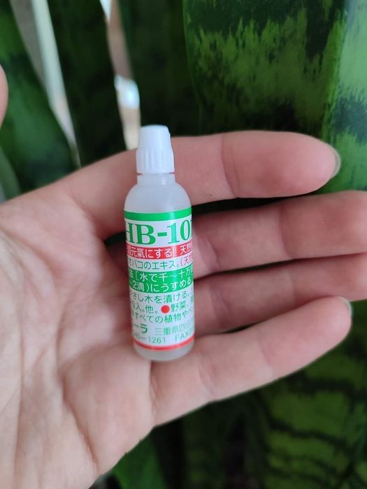 Добриво для рослин HB 101