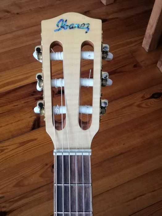 Ibanez Ewn 30 classic