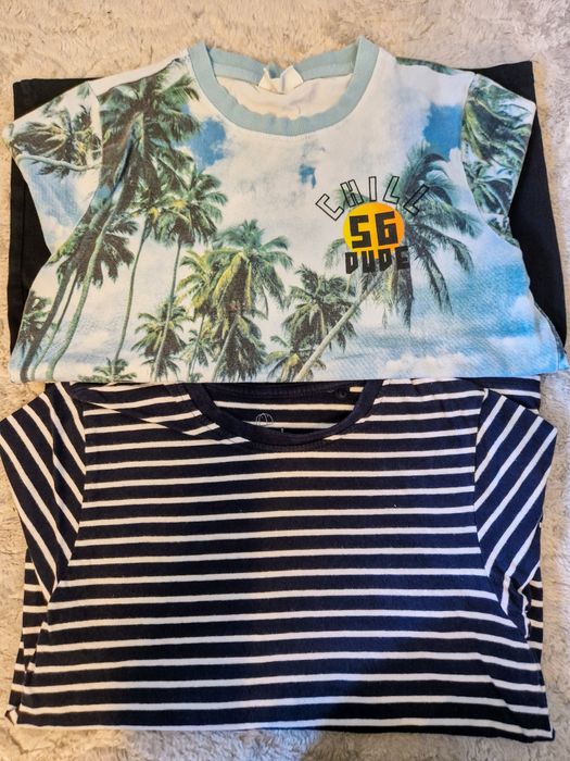 Zastaw tshirtow coccodrillo I Peppers 140