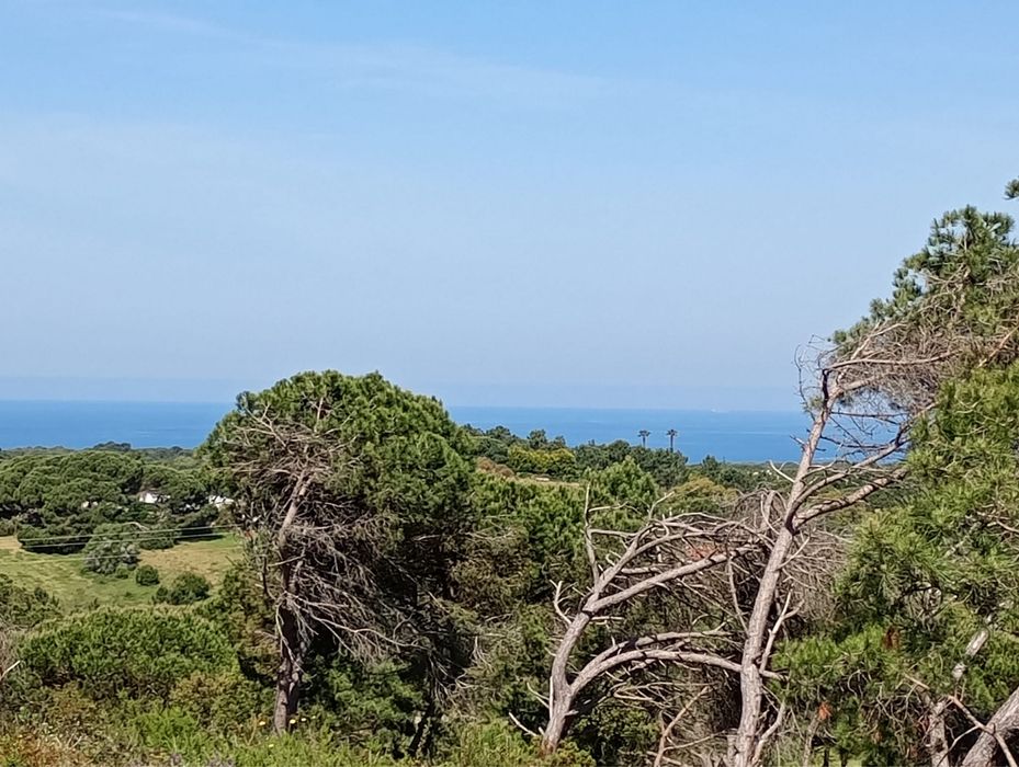 Terreno Rústico em Fornos – Aldeia do Meco (Sesimbra)
