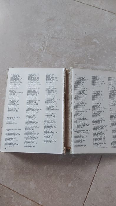 Wielki Atlas Owadów