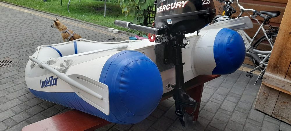 Silnik zaburtowy Mercury 2.5