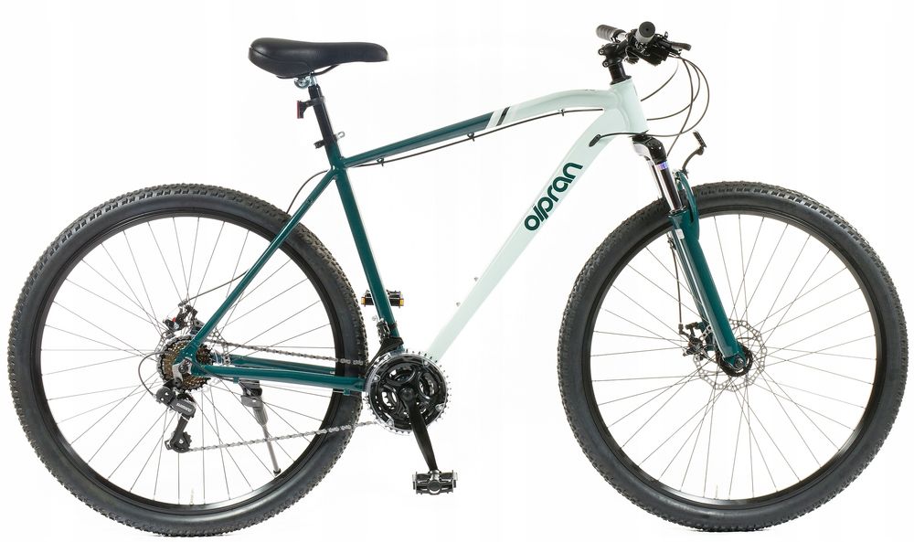 Astacus 29" R 19" Miętowo Zielony