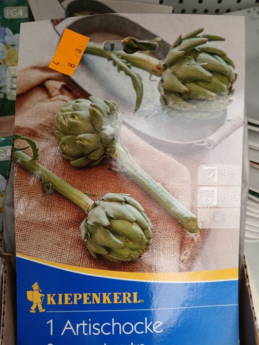 Kwiatki cebulki roślin