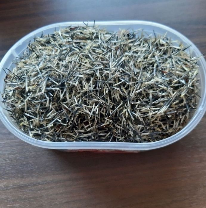 Nasiona kwiatów aksamitki,nasiona kwiatów turki,nasiona kwiatów,turki