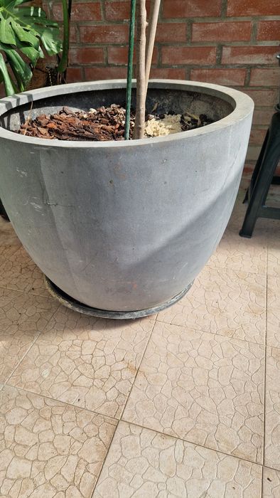 Vaso grande kinda home com planta