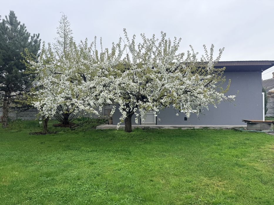 Дом-дача в Пещанке