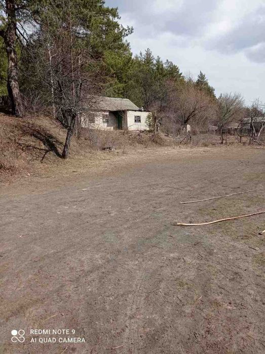 Продам дом у леса Чугуевский  район