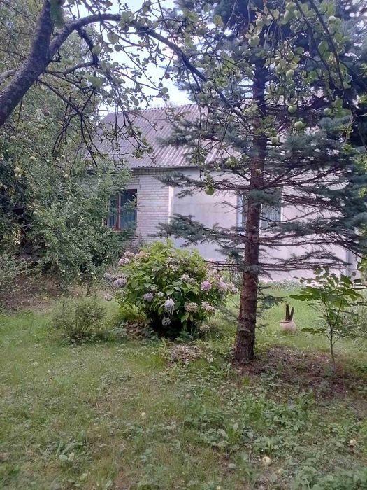 2к.Будинок, с. Гаразджа, 70м2, 4 сотих, Ремонт!