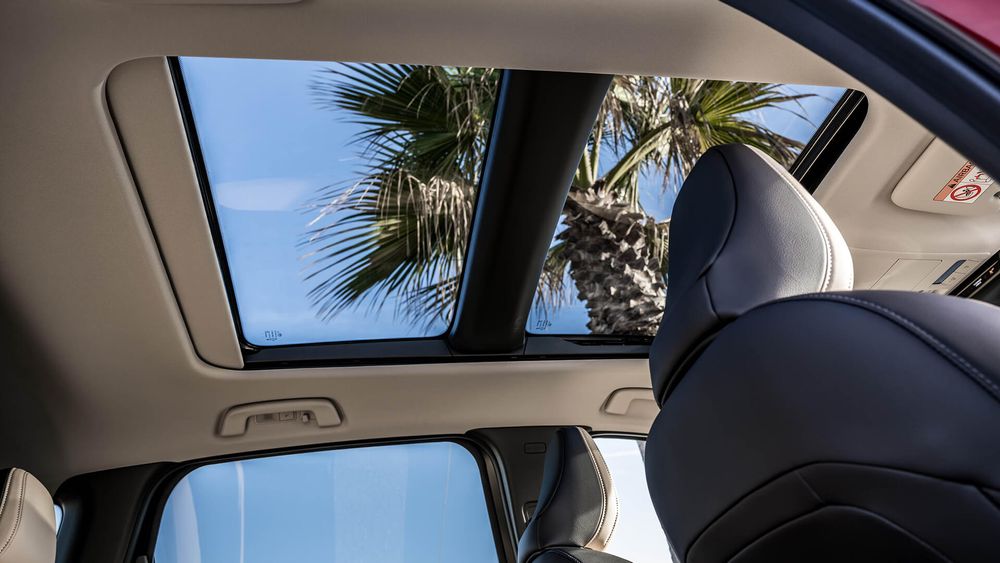 Zdjęcie w galerii numer 9