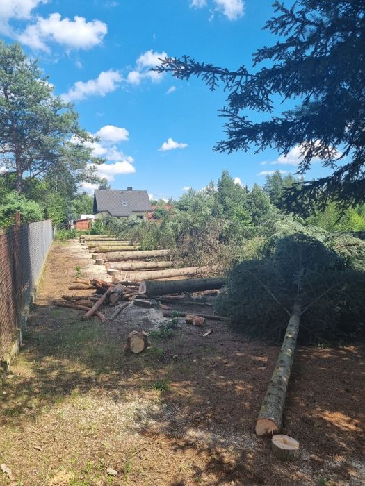 Wycinka drzew trudnych czyszczenie działek