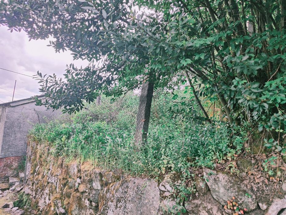 Terreno com 2 ruinas