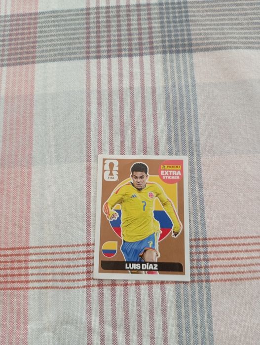 Panini FIFA 2026 Extra Sticker  bronze