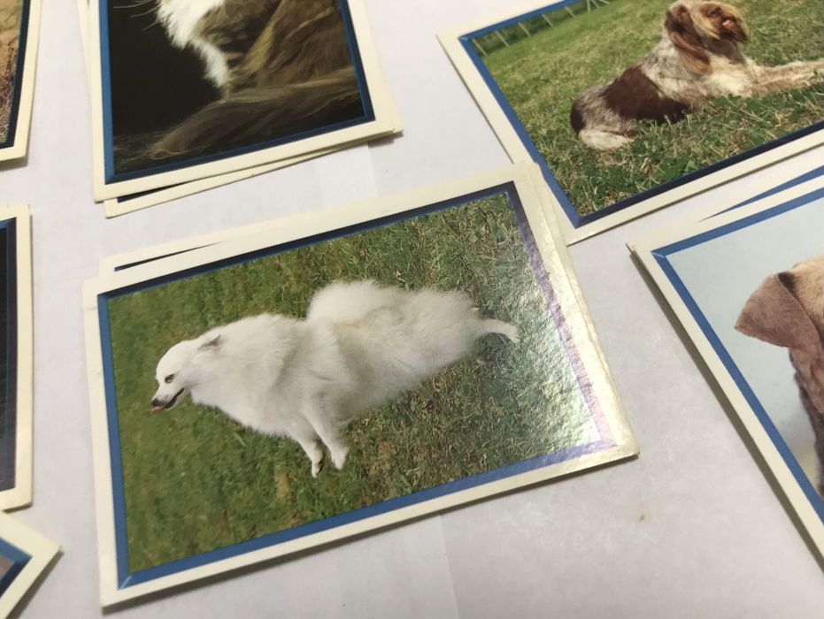 Coleção Cats & Dogs - Panini - Cromos