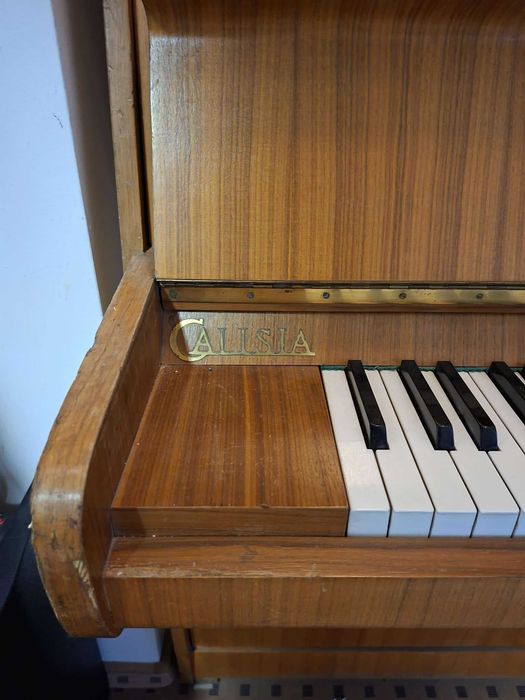 Pianino Calisia, Bydgoszcz