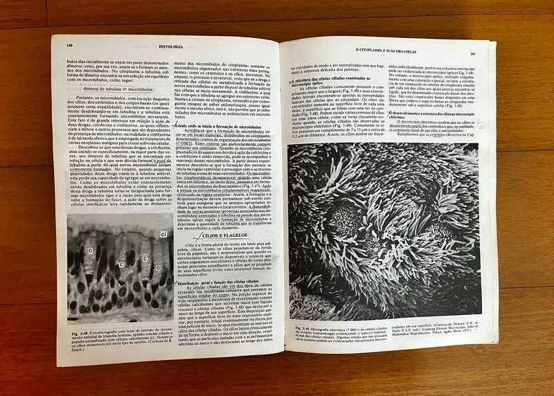 Histologia 8ª Edição