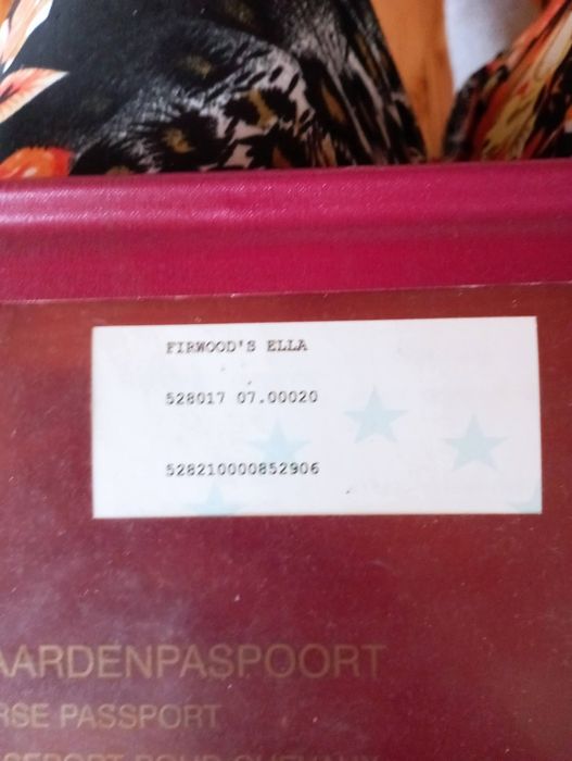 Kuc Walijski Profesor