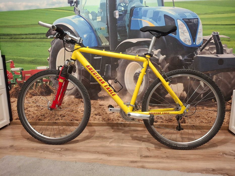 American Eagle Okazja