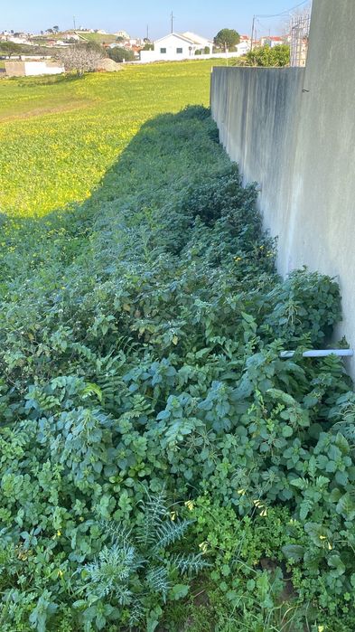 Serviços de roçadora e motocultivador, limpeza de jardinz e quintais