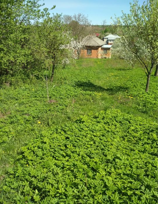 Продам будинок, обміняю на квартиру