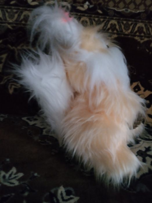 мягкая игрушка белочка