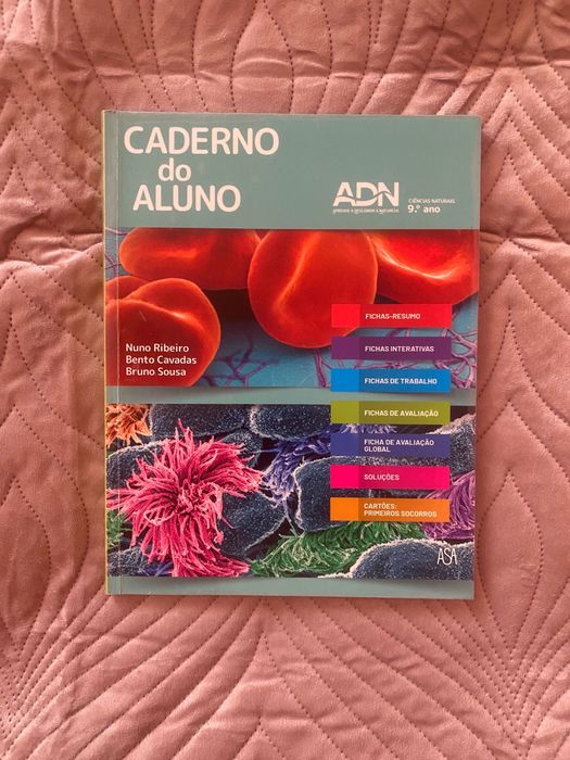 Manuais e Cadernos de Atividades do 3.º Ciclo / 9.º Ano
