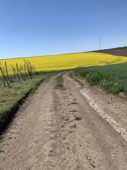 Панорамна земельна ділянка поблизу Тернополя