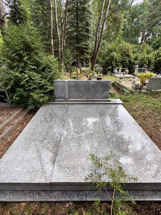 Grobowiem z miejscem wykupione na 100 lat cmentarz Junikowo poznań - Widok 2