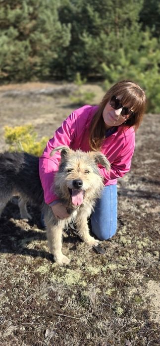 Fragles cudo misio kudłaty szuka chaty