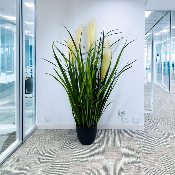 Trawa pampasowa premium – elegancka dekoracja do wnętrz