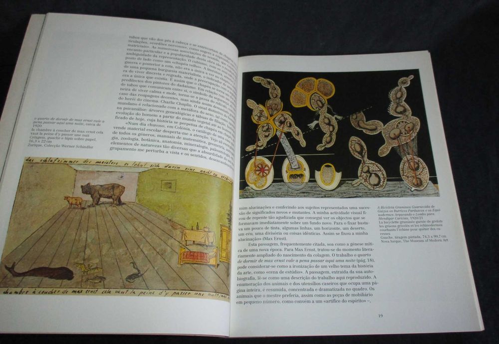 Livro Max Ernst Para Além da Pintura Taschen