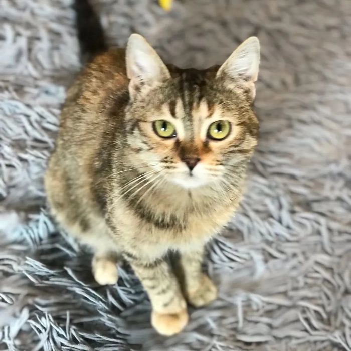 Отдам бесплатно!!