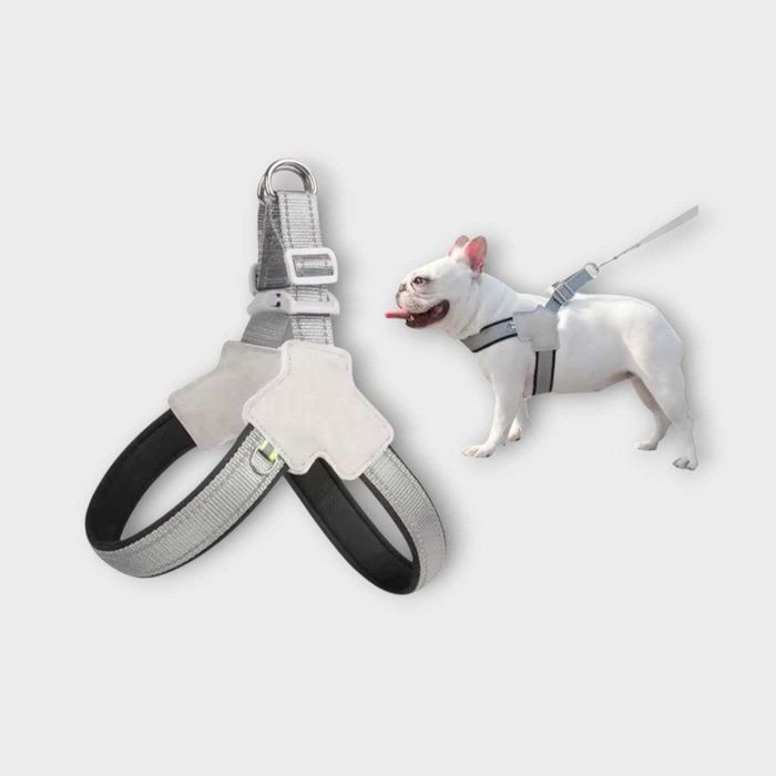 Шлея для собак р. L