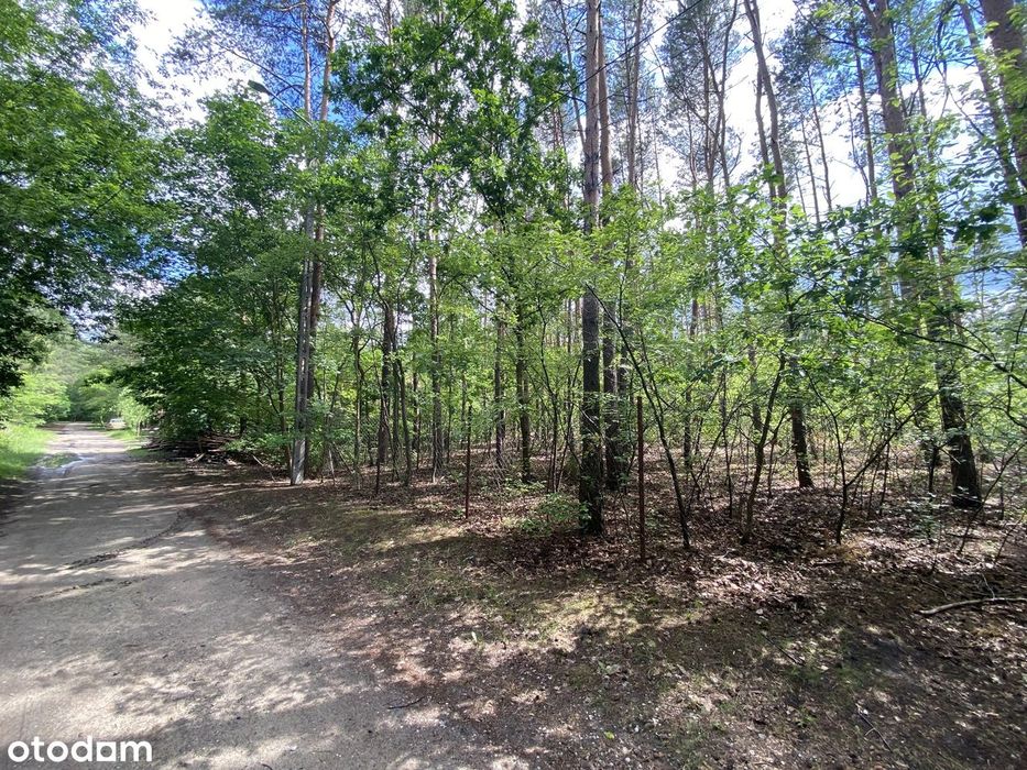 Działka 1500 m² pod zabudowę jednorodzinną w Legionowie.