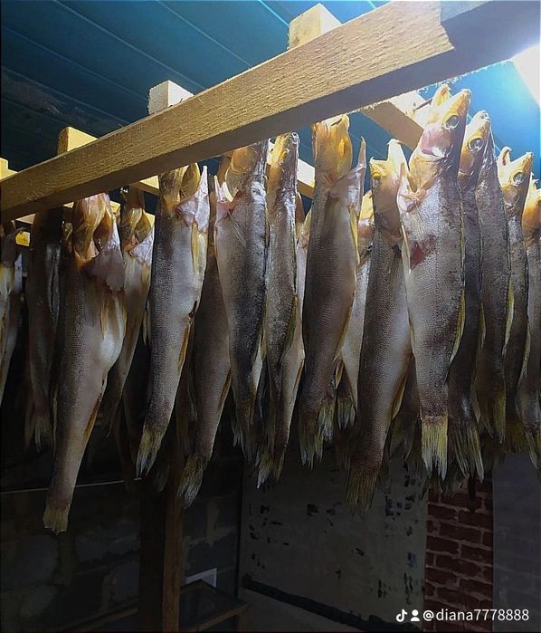 Рибка сушена таранка: 250 грн. - Продукти харчування / напої Київ на Olx