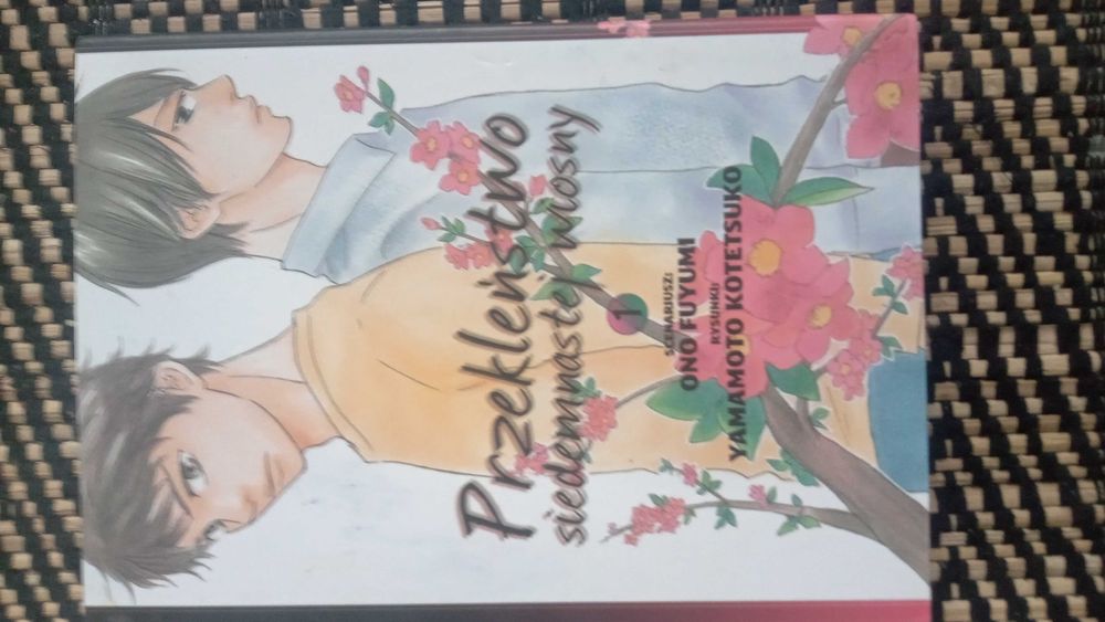 książka manga niezniszczona