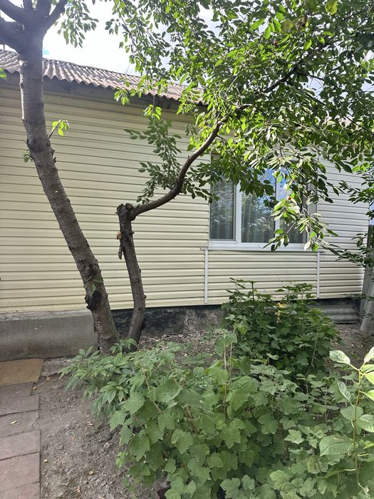 Продаж будинку в Трушках
