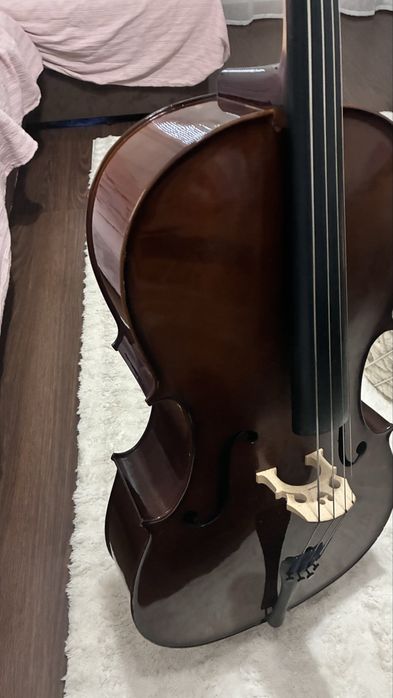 Violoncelo Stentor 3/4 com estojo e arco