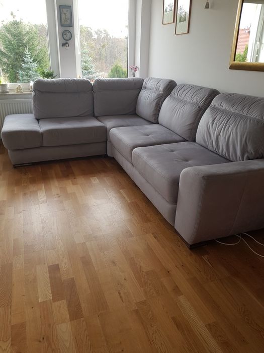 Rogówka roczna rozkładana