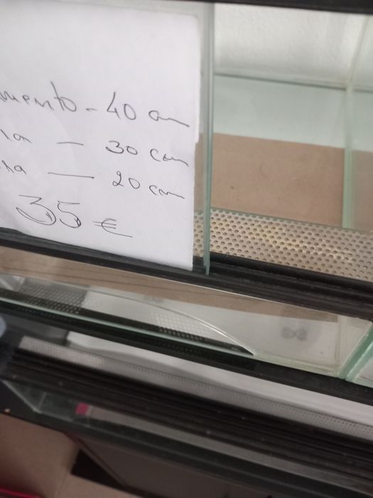 Terrário para venda