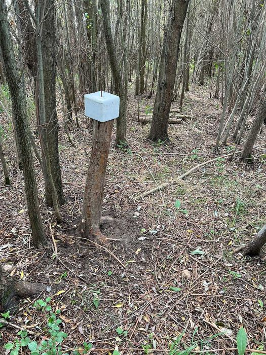 Lizawka solna mineralna dla dzikiej zwierzyny NAJLEPSZA NA RYNKU