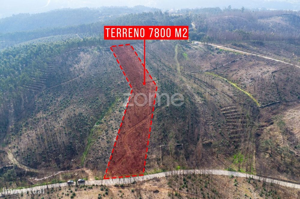 Terreno florestal urbanizável com 7.800 m2 - Rio Mau, Penafiel