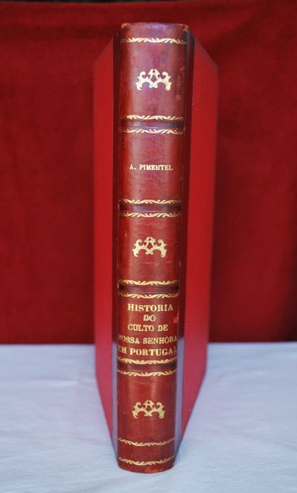 Historia do Culto de Nossa Senhora em Portugal de 1899