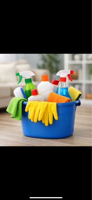 Casas, apartamentos e escritórios Responsável, pontual e cuidadosa