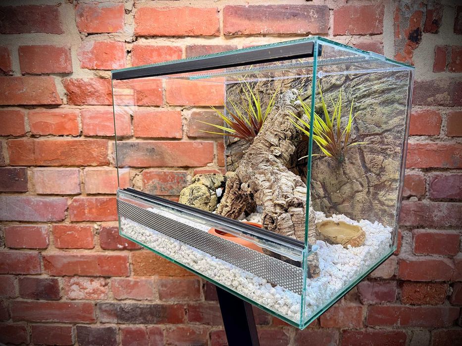 Terrarium szklane z pustynnym wystrojem 40x30x30 cm. AlleTerra