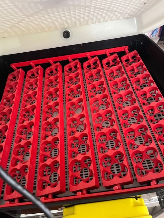 Chocadeira como nova