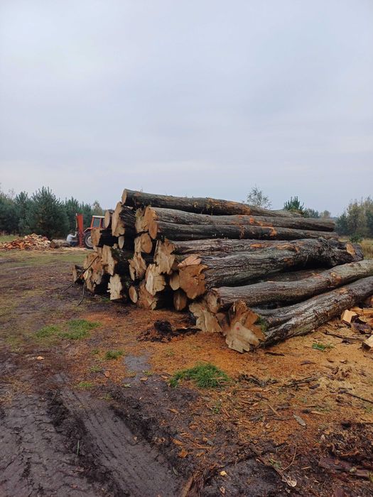 Grab kominkowy,Opał,Opałowy