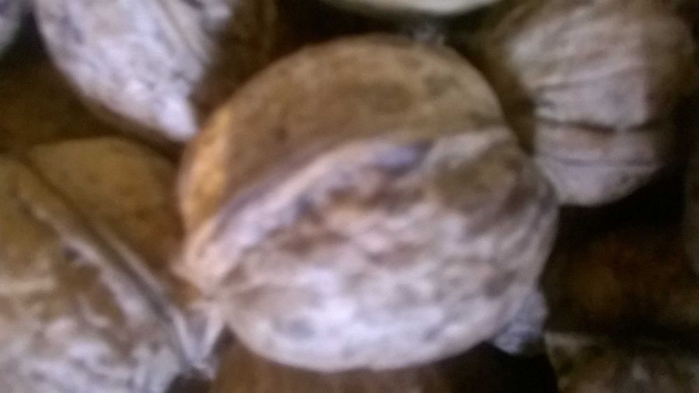 Orzechy Włoskie  Ekologiczne OKAZJA 2025