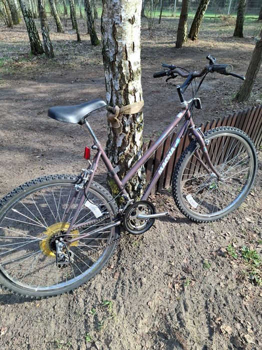 Rower Magna Zanzibar miejski