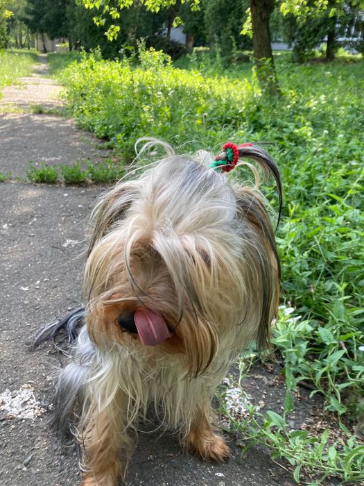 Раздаю очарованных Девочек и Мальчиков очень Красивых и Не Повторимых